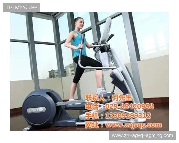 室内健身器材标准与规范:室内健身器材的选型与质量标准